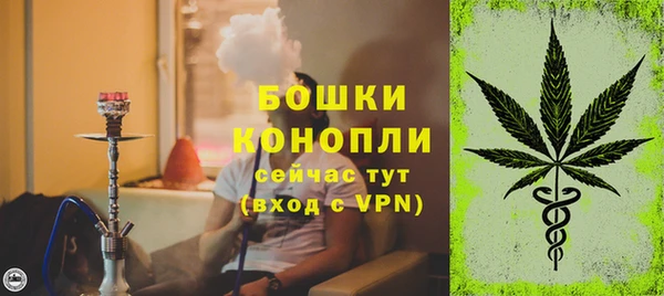ПСИЛОЦИБИНОВЫЕ ГРИБЫ Богданович